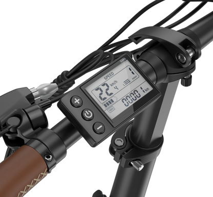 Wyświetlacz dla E-bike