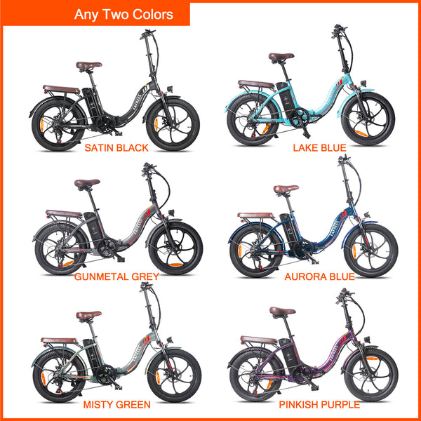 Ebike Bundle - Fafrees F20 Pro (2 Pack) - fafreesebike